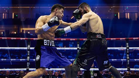 bivol